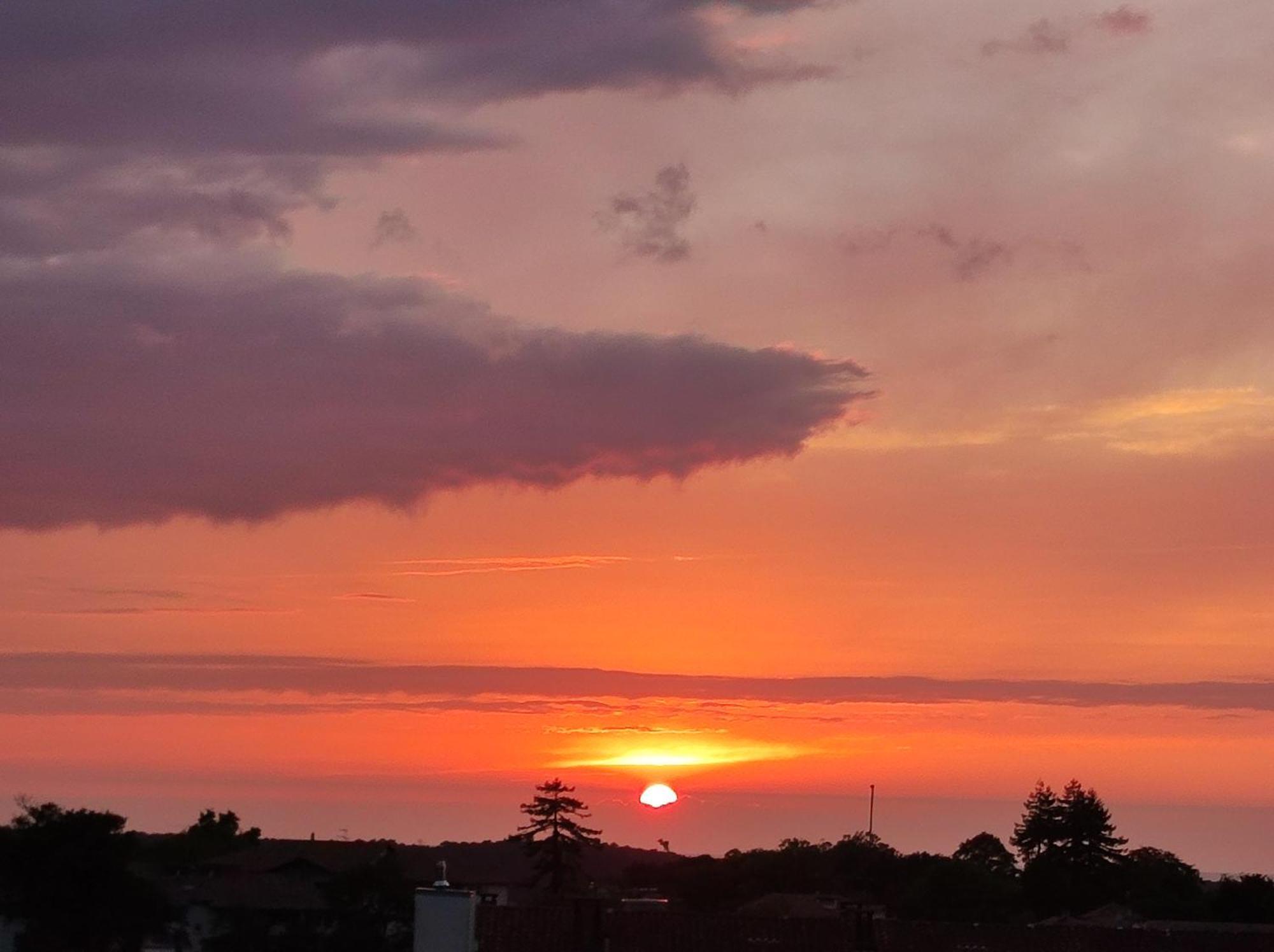 Pura Vida Bayonne